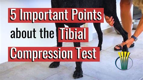 tibia compression test|cranial drawer test.